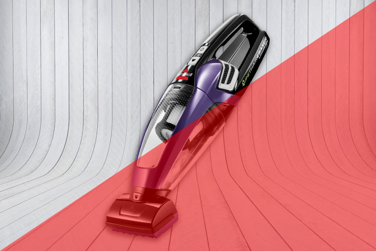 5 Tips To Vacuum Pet Hair In Your Carpet That Will Change Your Life